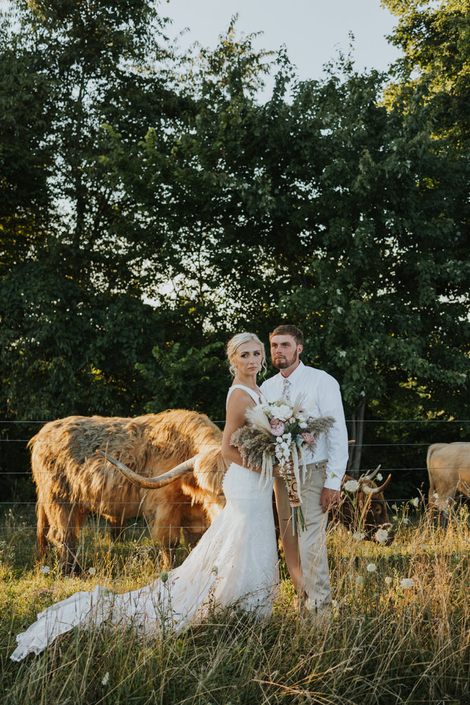 Bride and groom posing with bulls for photoshoot