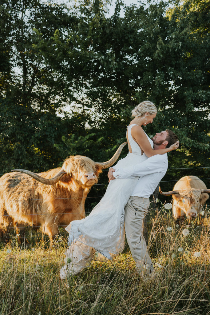 Newly weds posing in front of bulls for photoshoot