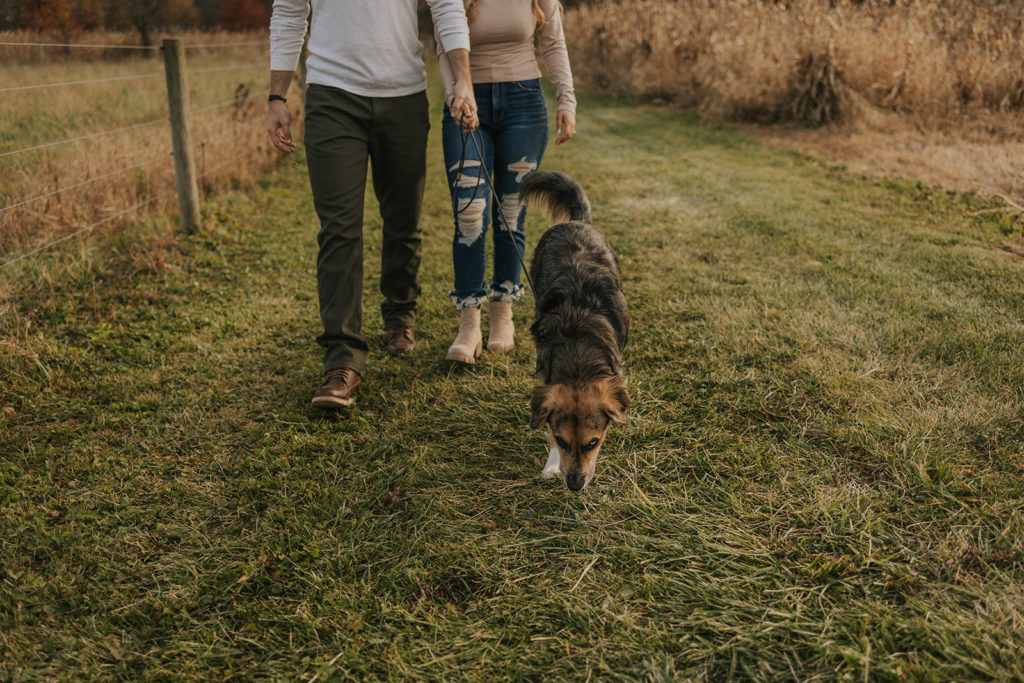 Fall field engagement photos with a dog
